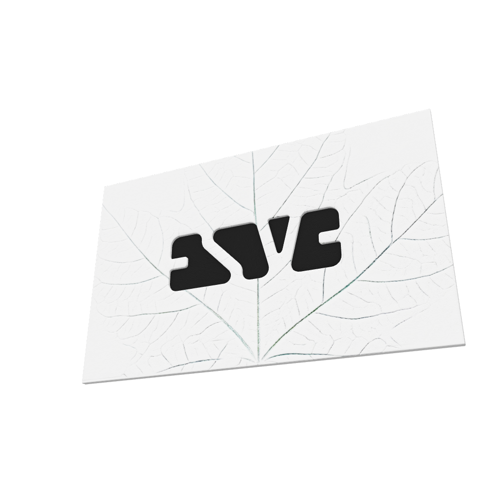 ESVE Studios gift card