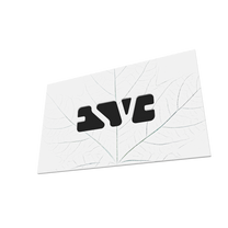 ESVE Studios gift card